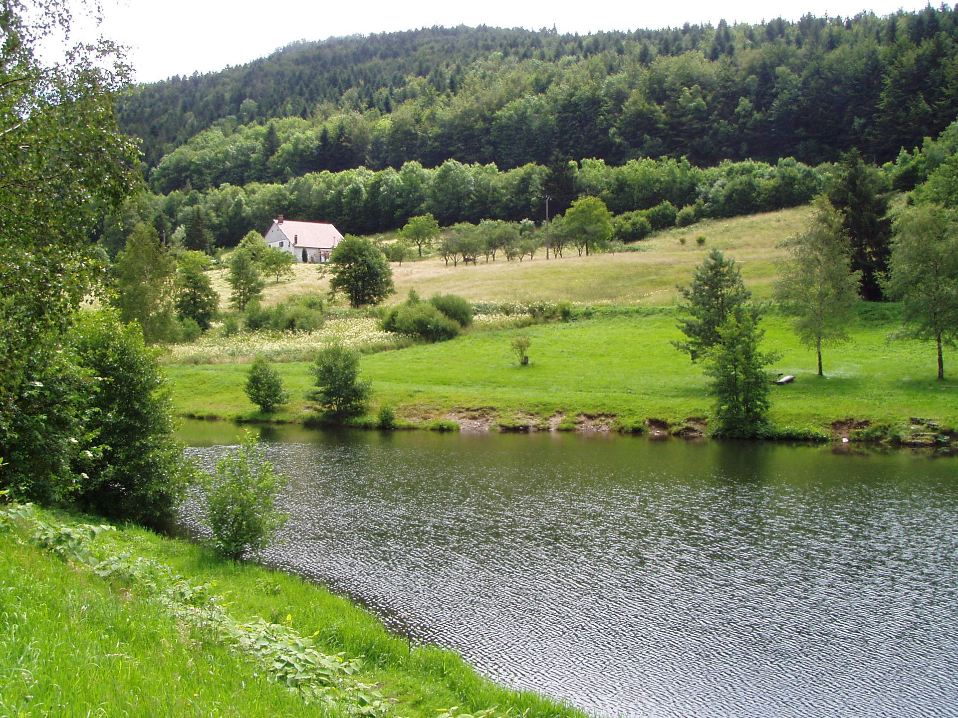 Diagnostic Immobilier à Bussang : Faites Confiance à Bimmo Diagnostic