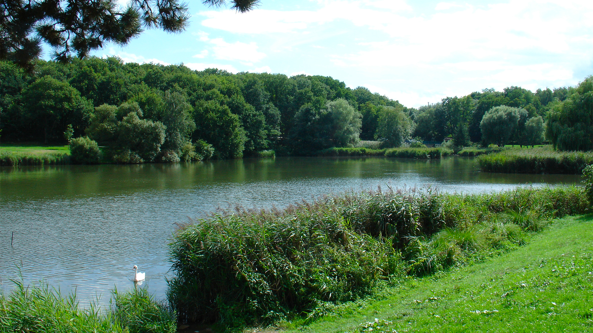 Diagnostic Immobilier à Creutzwald : Faites Confiance à Bimmo Diagnostic