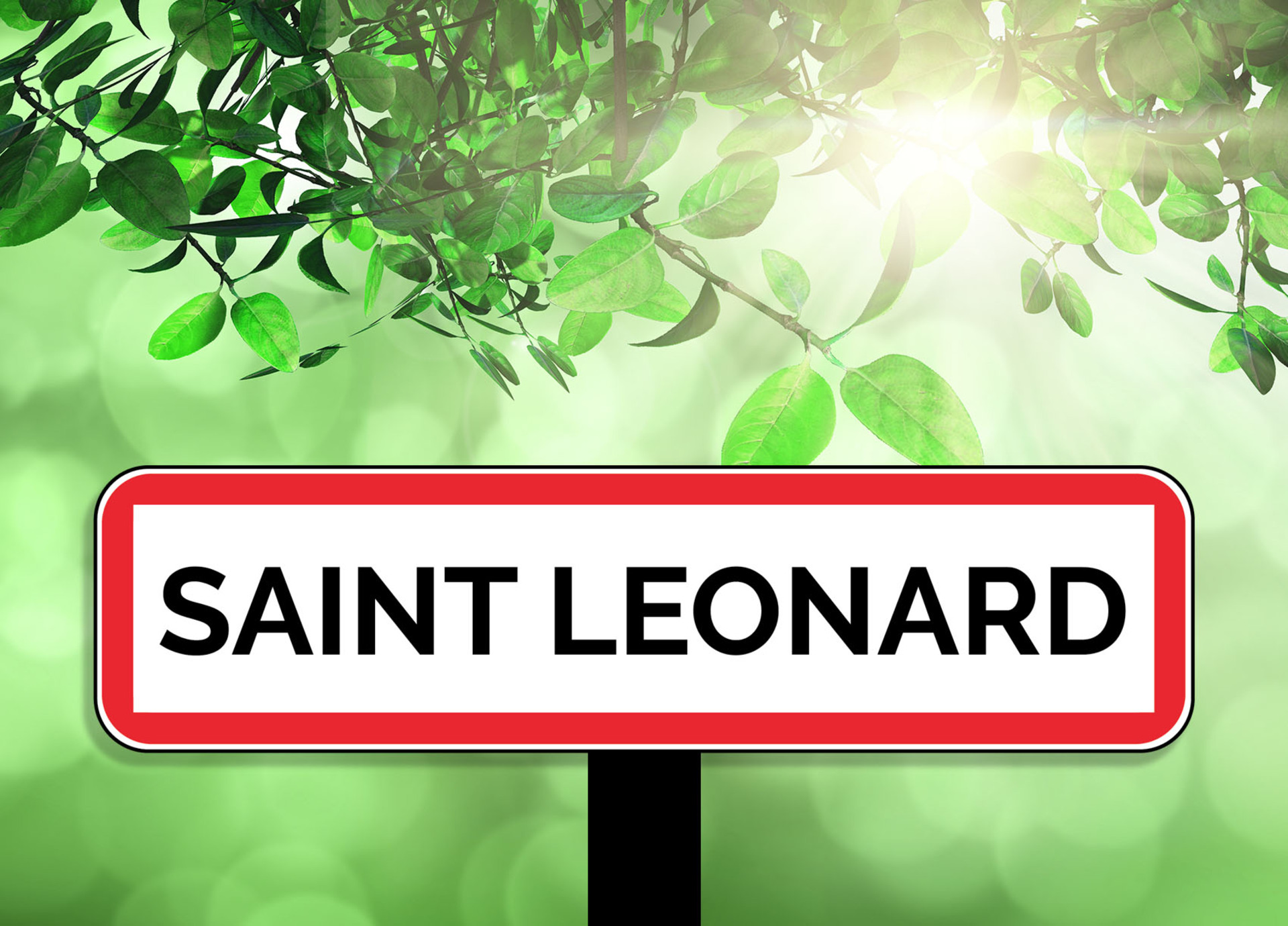 Diagnostic Immobilier à Saint-Léonard : Faites Confiance à Bimmo Diagnostic