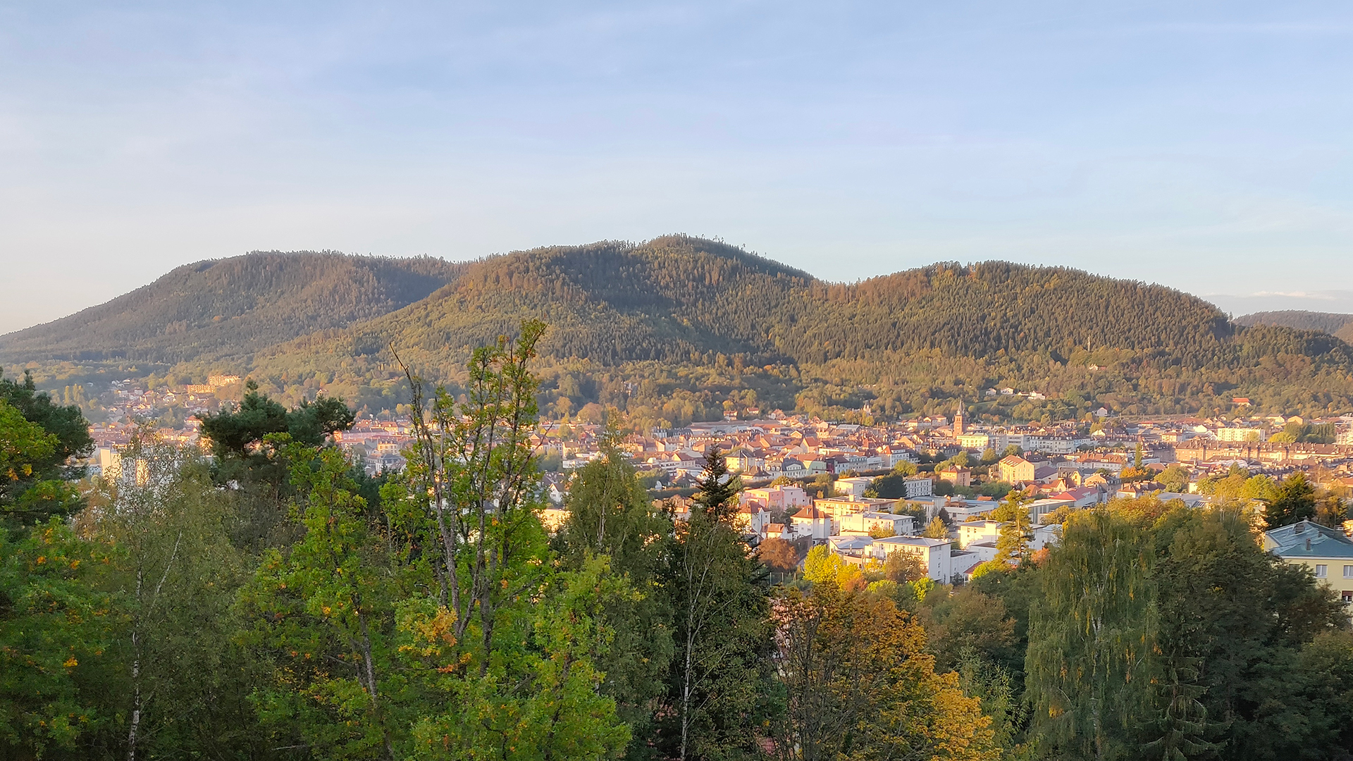 Diagnostic Immobilier à Saint-Dié-des-Vosges : Faites Confiance à Bimmo Diagnostic